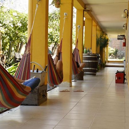 Hostel Lo De Chichi Кафаяте Екстериор снимка